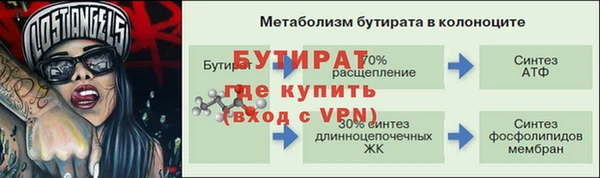 гидра Богородицк